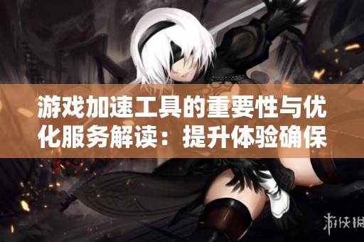 游戏加速工具的重要性与优化服务解读：提升体验确保稳定性
