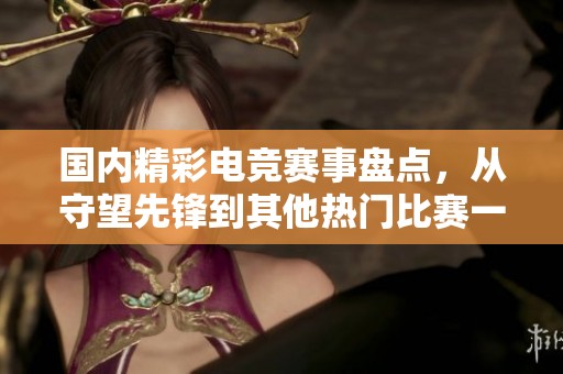 国内精彩电竞赛事盘点，从守望先锋到其他热门比赛一览无遗