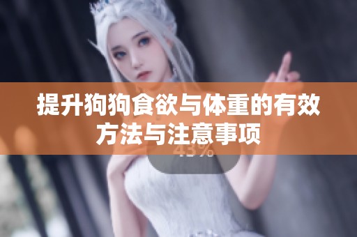 提升狗狗食欲与体重的有效方法与注意事项