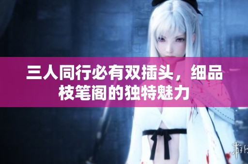 三人同行必有双插头，细品枝笔阁的独特魅力