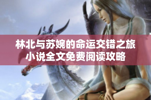 林北与苏婉的命运交错之旅小说全文免费阅读攻略