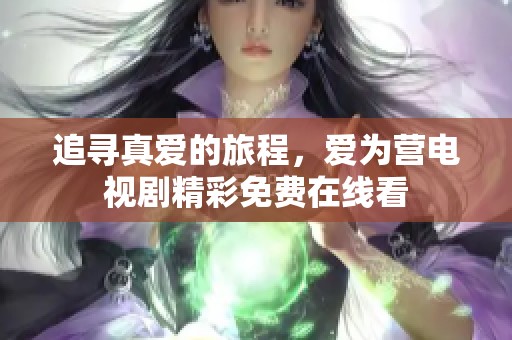 追寻真爱的旅程，爱为营电视剧精彩免费在线看