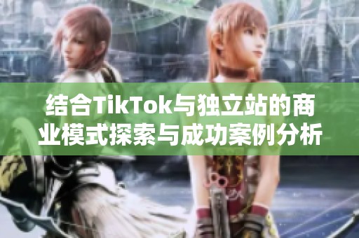 结合TikTok与独立站的商业模式探索与成功案例分析