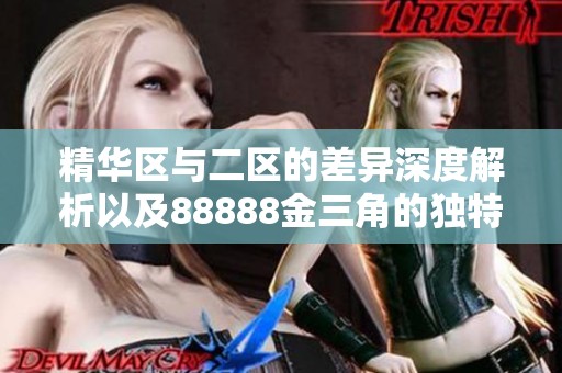 精华区与二区的差异深度解析以及88888金三角的独特魅力