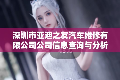 深圳市亚迪之友汽车维修有限公司公司信息查询与分析报告