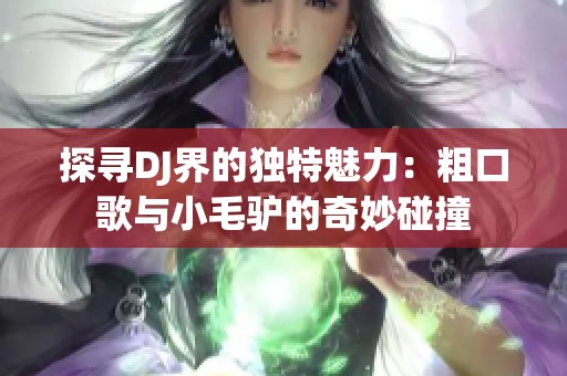 探寻DJ界的独特魅力：粗口歌与小毛驴的奇妙碰撞