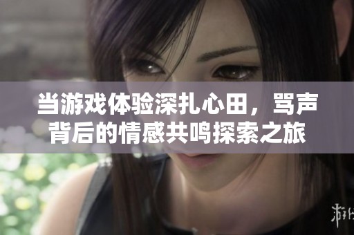 当游戏体验深扎心田，骂声背后的情感共鸣探索之旅