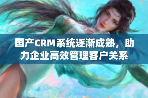 国产CRM系统逐渐成熟，助力企业高效管理客户关系