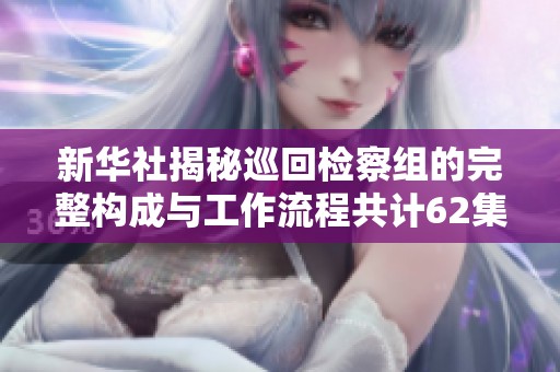 新华社揭秘巡回检察组的完整构成与工作流程共计62集