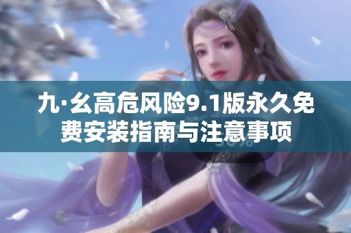 九·幺高危风险9.1版永久免费安装指南与注意事项