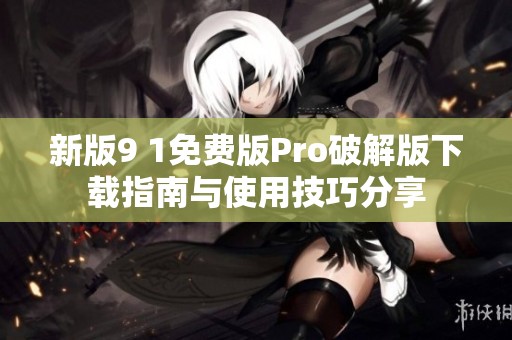 新版9 1免费版Pro破解版下载指南与使用技巧分享