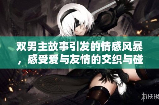 双男主故事引发的情感风暴，感受爱与友情的交织与碰撞
