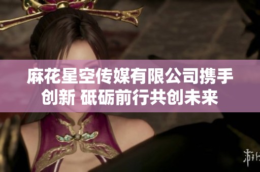 麻花星空传媒有限公司携手创新 砥砺前行共创未来