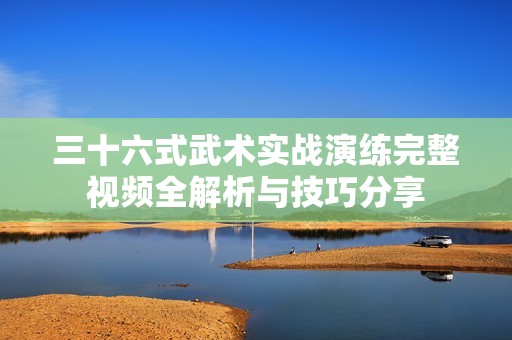 三十六式武术实战演练完整视频全解析与技巧分享