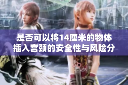 是否可以将14厘米的物体插入宫颈的安全性与风险分析