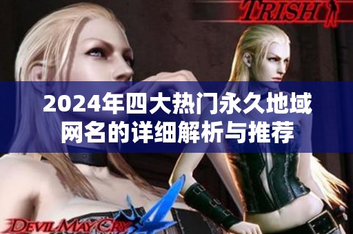 2024年四大热门永久地域网名的详细解析与推荐