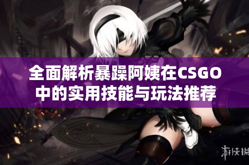 全面解析暴躁阿姨在CSGO中的实用技能与玩法推荐