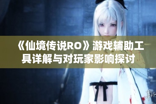 《仙境传说RO》游戏辅助工具详解与对玩家影响探讨