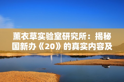 薰衣草实验室研究所：揭秘国新办《20》的真实内容及影响探讨