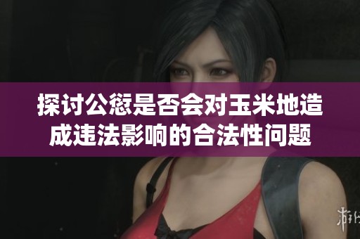 探讨公愆是否会对玉米地造成违法影响的合法性问题