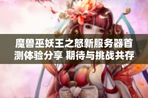 魔兽巫妖王之怒新服务器首测体验分享 期待与挑战共存