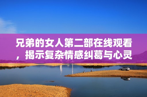 兄弟的女人第二部在线观看，揭示复杂情感纠葛与心灵碰撞
