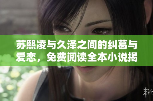 苏熙凌与久泽之间的纠葛与爱恋，免费阅读全本小说揭秘