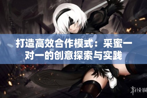 打造高效合作模式：采蜜一对一的创意探索与实践