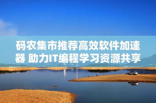 码农集市推荐高效软件加速器 助力IT编程学习资源共享与提升