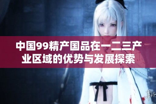 中国99精产国品在一二三产业区域的优势与发展探索