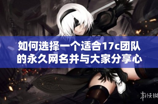 如何选择一个适合17c团队的永久网名并与大家分享心得