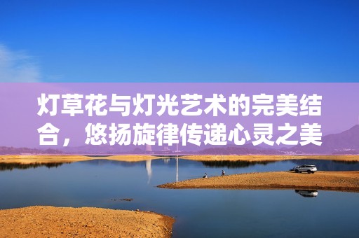 灯草花与灯光艺术的完美结合，悠扬旋律传递心灵之美