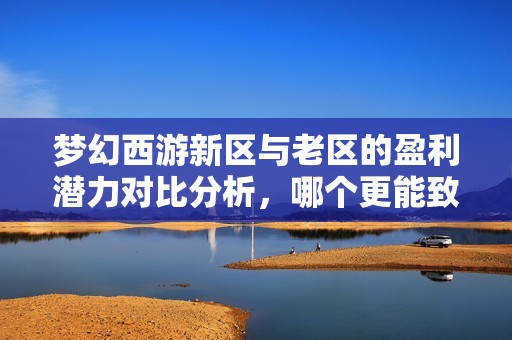 梦幻西游新区与老区的盈利潜力对比分析，哪个更能致富