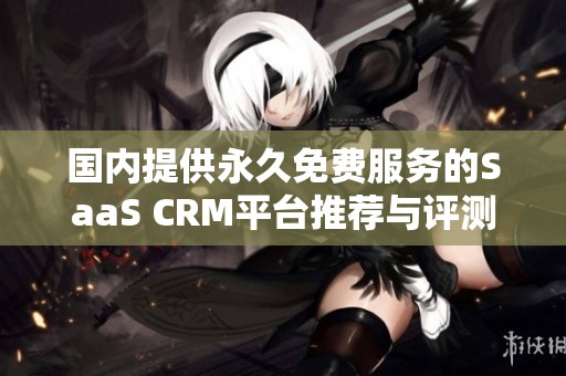 国内提供永久免费服务的SaaS CRM平台推荐与评测