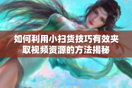如何利用小扫货技巧有效夹取视频资源的方法揭秘