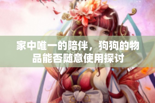 家中唯一的陪伴，狗狗的物品能否随意使用探讨