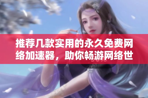 推荐几款实用的永久免费网络加速器，助你畅游网络世界