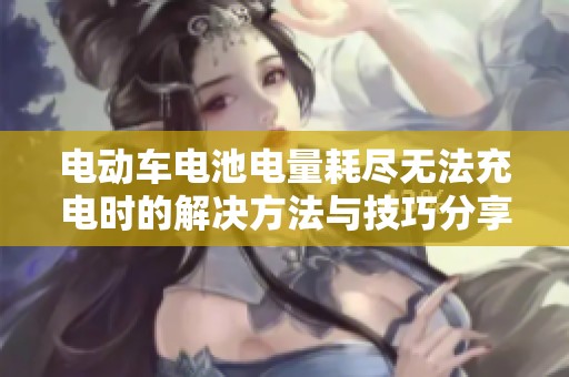 电动车电池电量耗尽无法充电时的解决方法与技巧分享