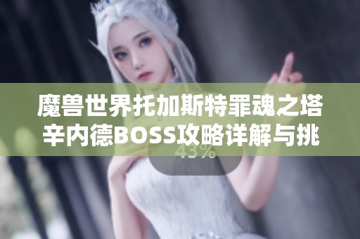 魔兽世界托加斯特罪魂之塔辛内德BOSS攻略详解与挑战技巧分享
