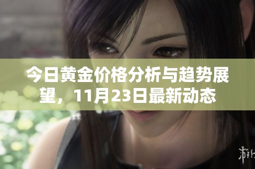 今日黄金价格分析与趋势展望，11月23日最新动态