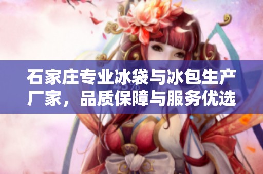石家庄专业冰袋与冰包生产厂家，品质保障与服务优选