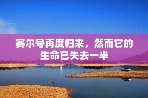 赛尔号再度归来，然而它的生命已失去一半