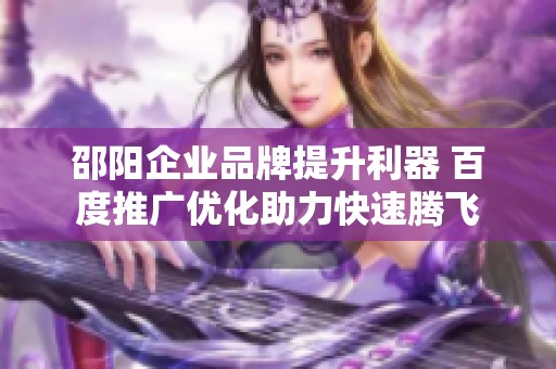 邵阳企业品牌提升利器 百度推广优化助力快速腾飞
