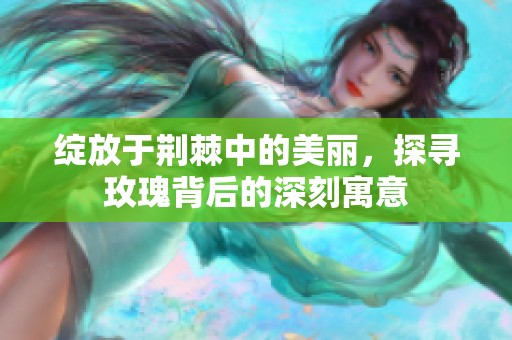绽放于荆棘中的美丽，探寻玫瑰背后的深刻寓意
