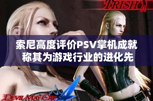 索尼高度评价PSV掌机成就 称其为游戏行业的进化先锋