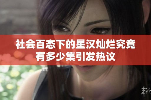 社会百态下的星汉灿烂究竟有多少集引发热议