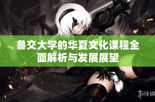 鲁交大学的华夏文化课程全面解析与发展展望