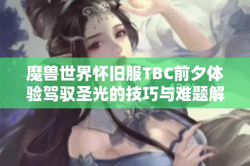 魔兽世界怀旧服TBC前夕体验驾驭圣光的技巧与难题解决方案分享