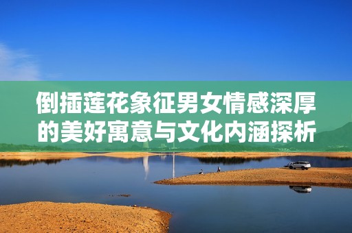 倒插莲花象征男女情感深厚的美好寓意与文化内涵探析