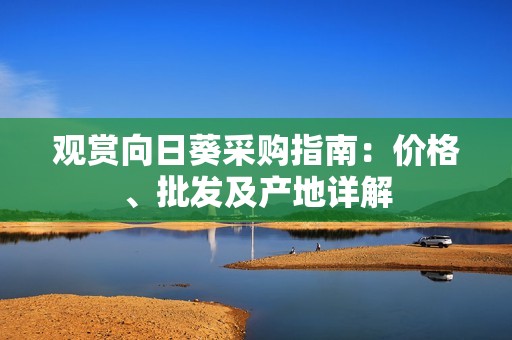 观赏向日葵采购指南：价格、批发及产地详解